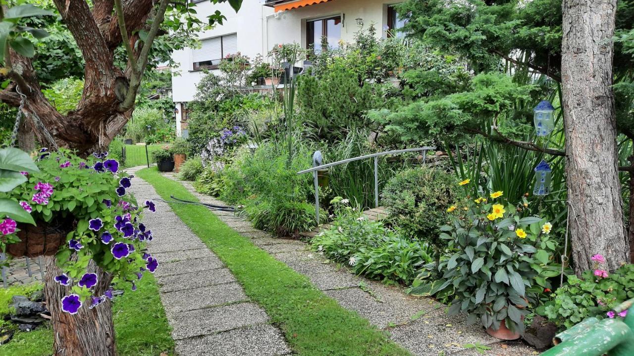 Am Teich Apartamento Kamp-Bornhofen Exterior foto